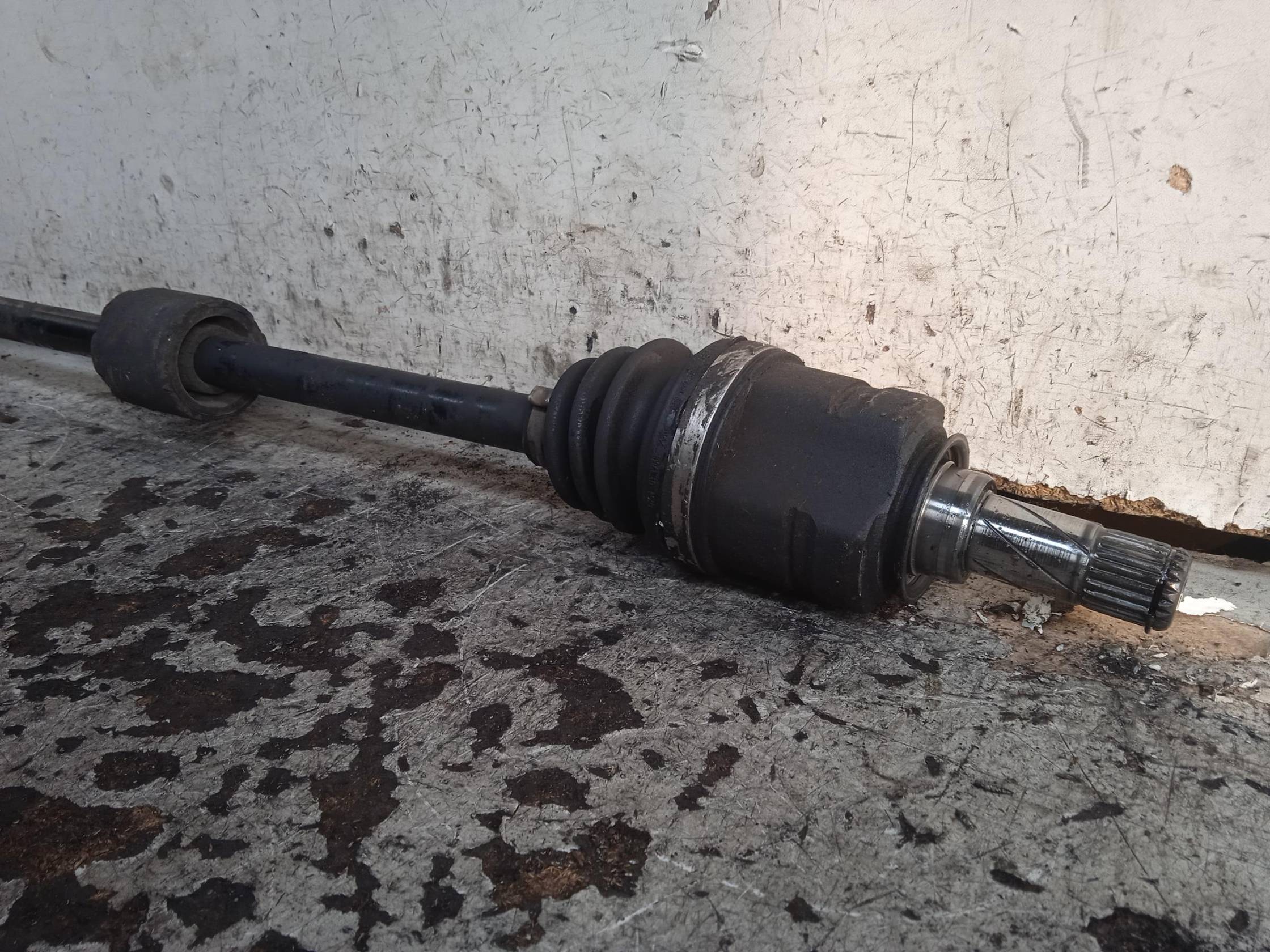 Semialbero ant. compl. dx.